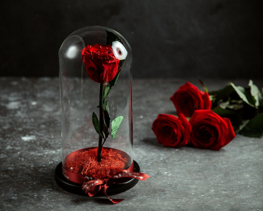Guide complet des roses éternelles : Entretien et utilisation dans votre intérieur