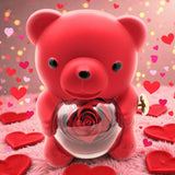 Coffret Amour Infini : Ours, Rose Éternelle et Bijou Secret